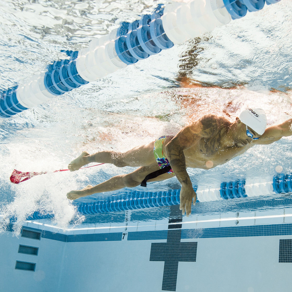 Swim Parachute Finis Navy 8 Inch Entrenamiento 