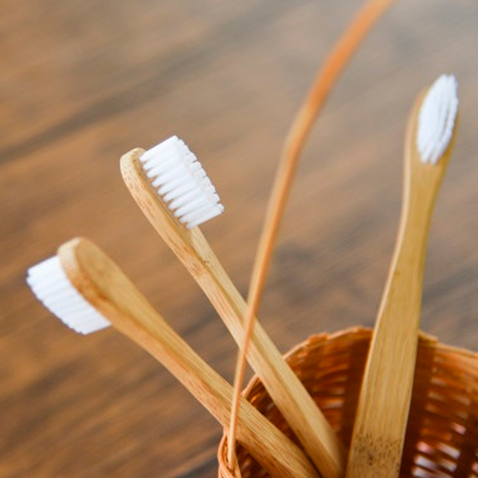 Cepillo Dientes Ecologico Biodegradables S/bpa Ch