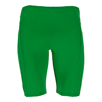 Malla De Baño Phelps Team Solids Hombre Verde 20