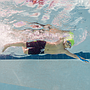 Enganches De Manos Junior Finis Forearm Fulcrum