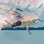 Enganches De Manos Junior Finis Forearm Fulcrum