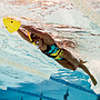 Tabla Finis Alignment Kickboard P/entrenamiento