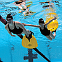 Monoaleta Finis Wave P/joven Y Adulto