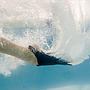 FINIS - MONOALETA EVO 