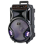PARLANTE PORTABLE AEK S-11205 12”