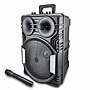 PARLANTE PORTABLE AEK S-11208 12″ C/MIC Y LEDs